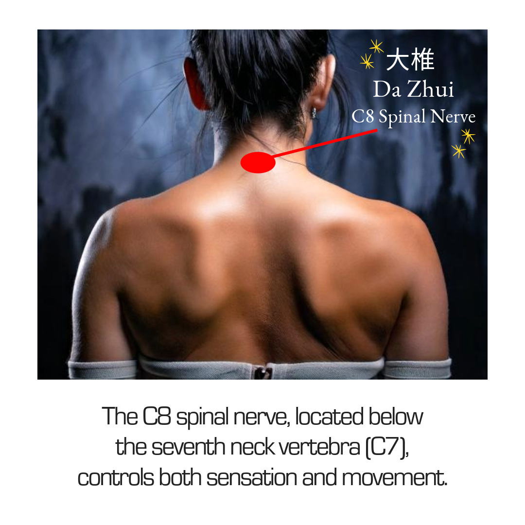 Bundle: HEALUX Neckx Ultra-Light Neck Massager